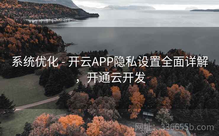 系统优化 - 开云APP隐私设置全面详解，开通云开发