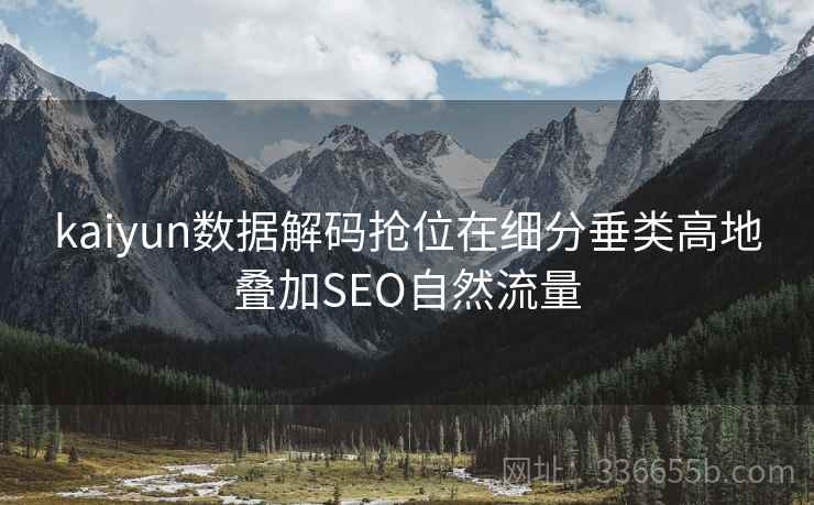 kaiyun数据解码抢位在细分垂类高地叠加SEO自然流量