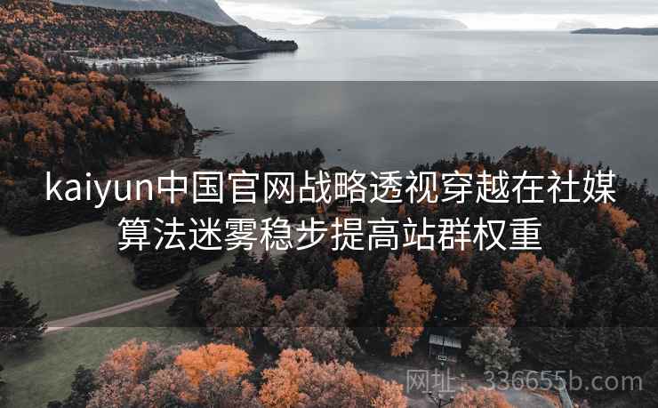 kaiyun中国官网战略透视穿越在社媒算法迷雾稳步提高站群权重