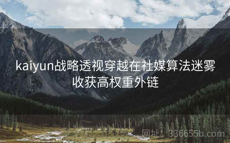 kaiyun战略透视穿越在社媒算法迷雾收获高权重外链