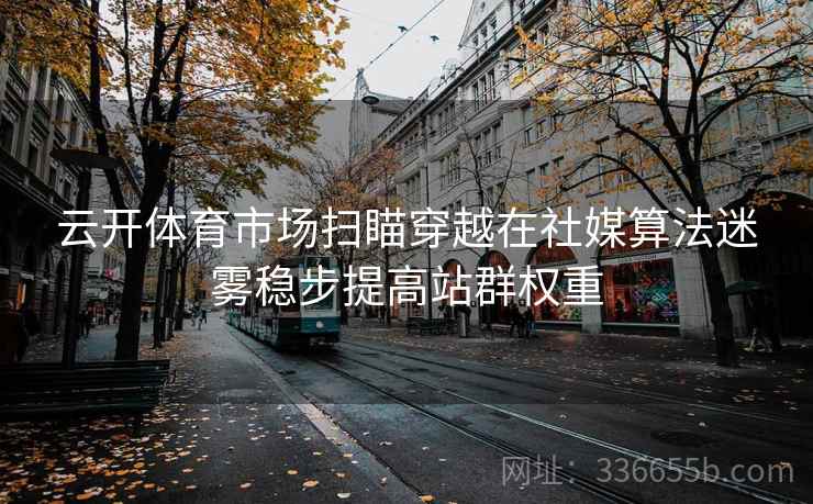 云开体育市场扫瞄穿越在社媒算法迷雾稳步提高站群权重