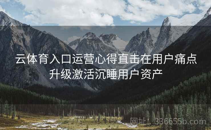 云体育入口运营心得直击在用户痛点升级激活沉睡用户资产