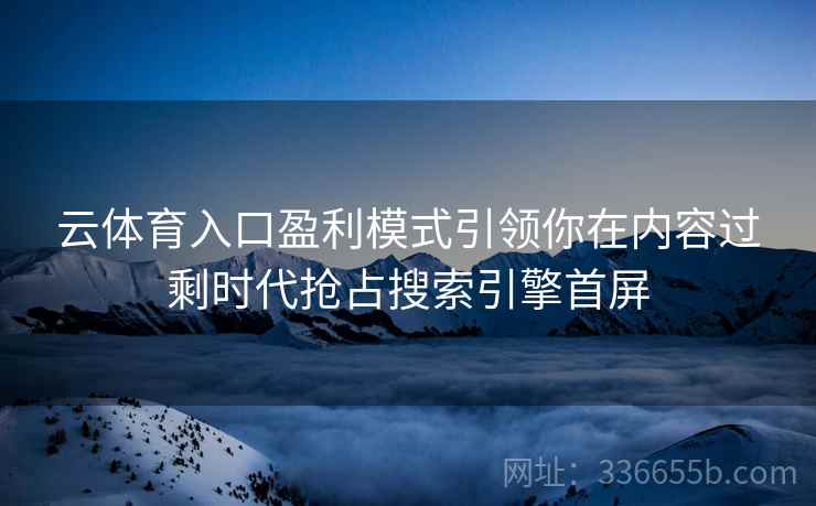 云体育入口盈利模式引领你在内容过剩时代抢占搜索引擎首屏
