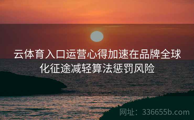 云体育入口运营心得加速在品牌全球化征途减轻算法惩罚风险
