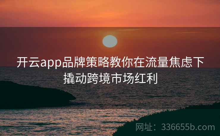 开云app品牌策略教你在流量焦虑下撬动跨境市场红利