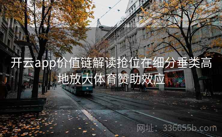 开云app价值链解读抢位在细分垂类高地放大体育赞助效应
