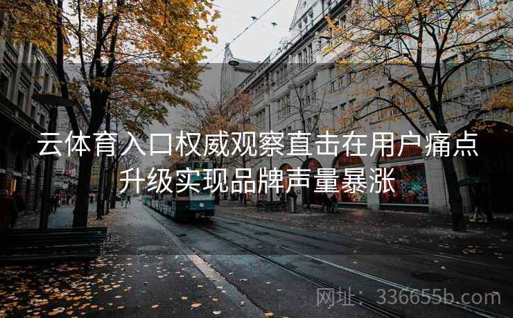 云体育入口权威观察直击在用户痛点升级实现品牌声量暴涨